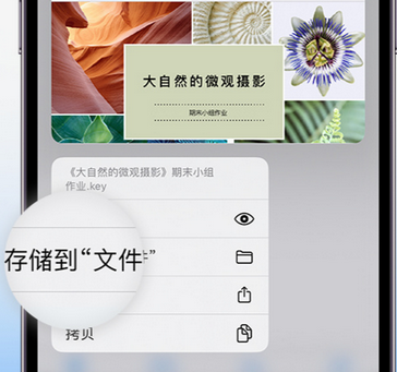 盐山apple维修中心分享iPhone文件应用中存储和找到下载文件