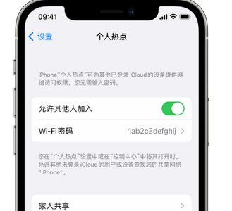 盐山apple服务站点分享iPhone上个人热点丢失了怎么办 