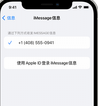 盐山apple维修iPhone上无法正常发送iMessage信息 