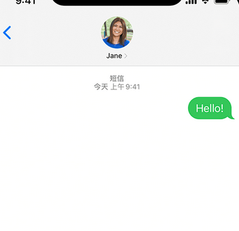盐山apple维修iPhone上无法正常发送iMessage信息