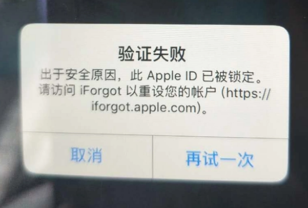 盐山iPhone维修分享iPhone上正常登录或使用AppleID怎么办 