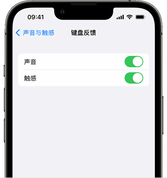 盐山苹果14维修店分享如何在 iPhone 14 机型中使用触感键盘 