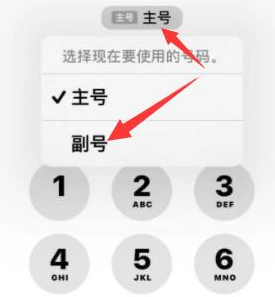 盐山苹果14维修店分享iPhone 14 Pro Max使用副卡打电话的方法 