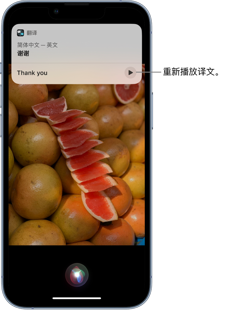 盐山苹果14维修分享 iPhone 14 机型中使用 Siri：了解 Siri 能帮你做什么 