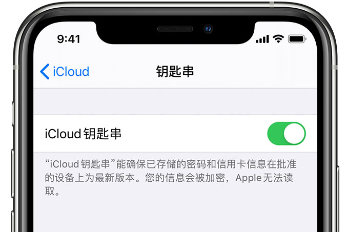 盐山苹果手机维修分享在 iPhone 上开启 iCloud 钥匙串之后会储存哪些信息 