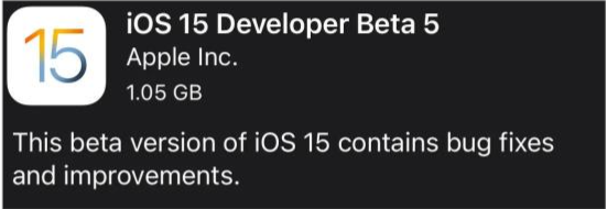 盐山苹果手机维修分享如何升级到iOS15.0 beta5 