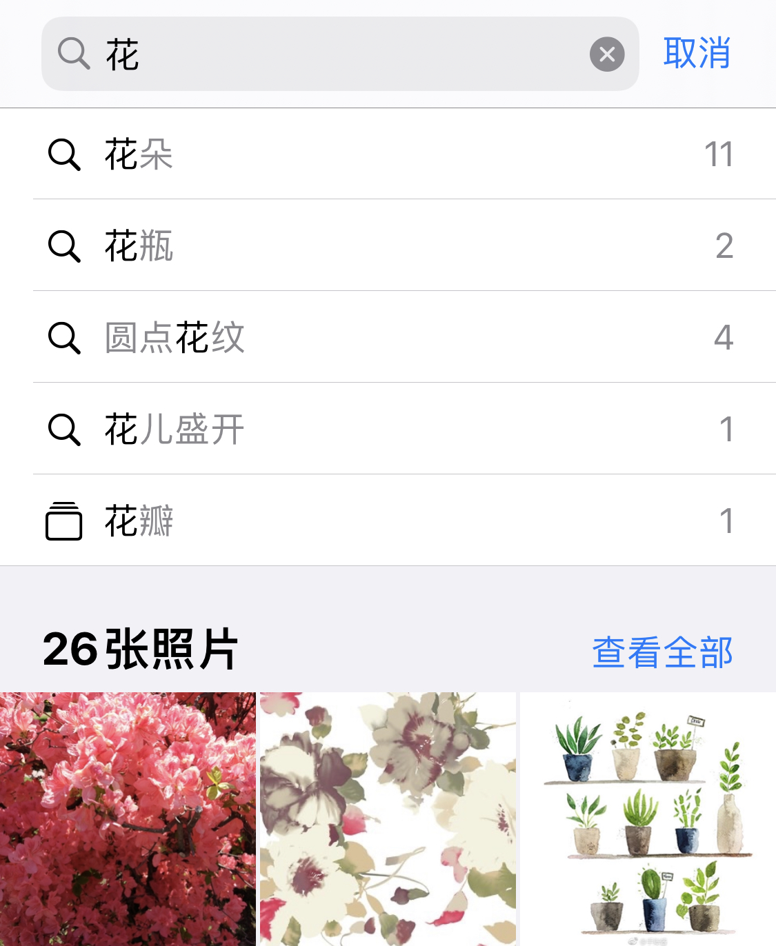 盐山苹果手机维修分享iPhone 小技巧 