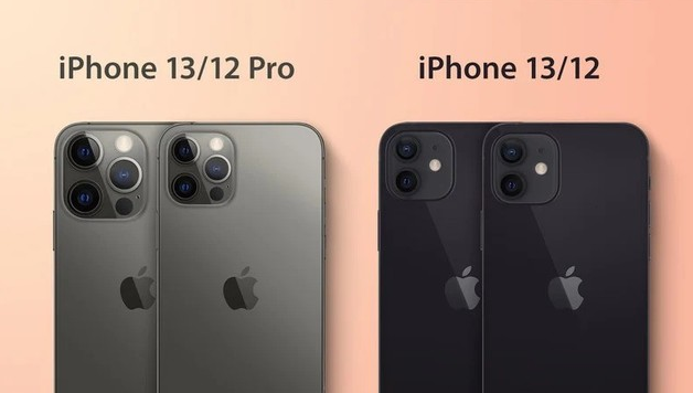 盐山苹果手机维修分享iPhone 13 摄像头长什么样 