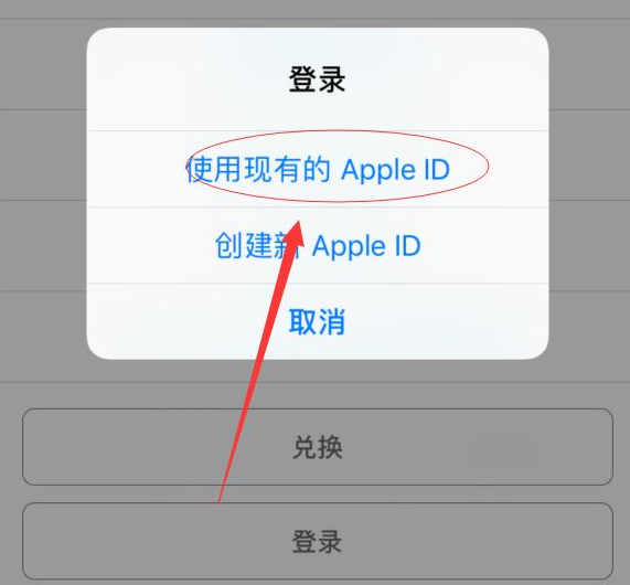 盐山苹果手机维修分享两台iPhone设备可以同时登录一个Apple ID吗 