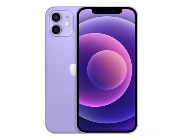 盐山苹果手机维修分享现阶段要不要入手紫色版iPhone12 