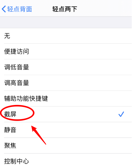 盐山苹果手机维修分享iPhone12如何启用双击截屏 