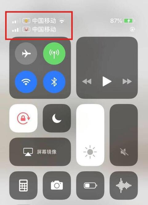 盐山苹果手机维修分享为 iPhone 12 双卡设置标签 