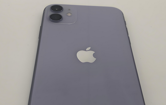 盐山苹果11系统维修分享iPhone11手机系统崩溃无法开机如何解决
